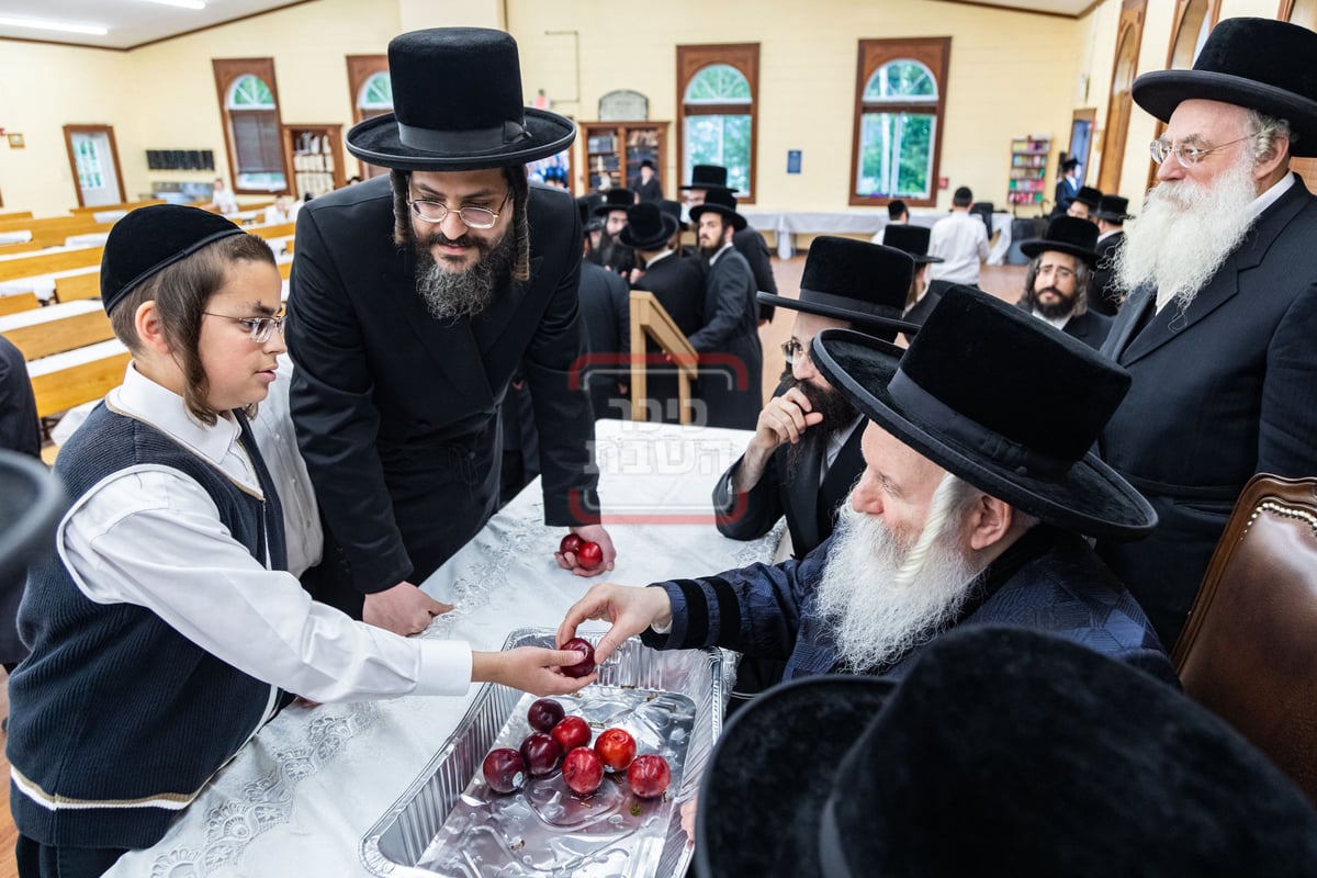 האדמו"ר מבאבוב בביקור במחנה שלווה ד'באבוב 