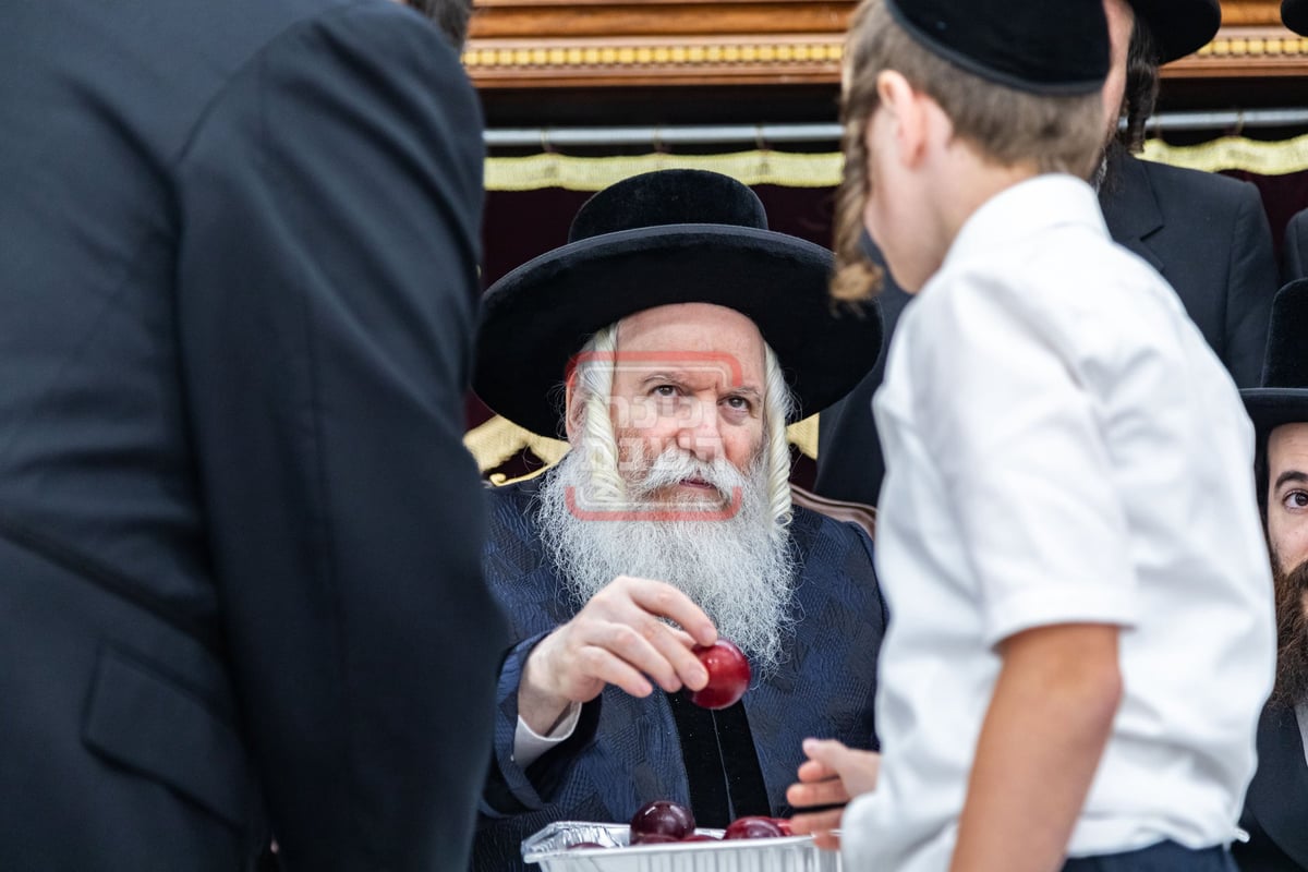 האדמו"ר מבאבוב בביקור במחנה שלווה ד'באבוב 