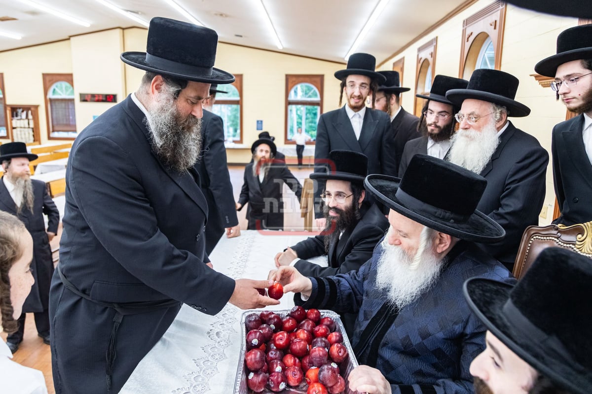 האדמו"ר מבאבוב בביקור במחנה שלווה ד'באבוב 