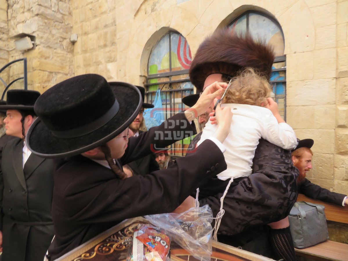 שמחת החלאקה לנכד האדמורי"ם מסאווראן ומישקולץ