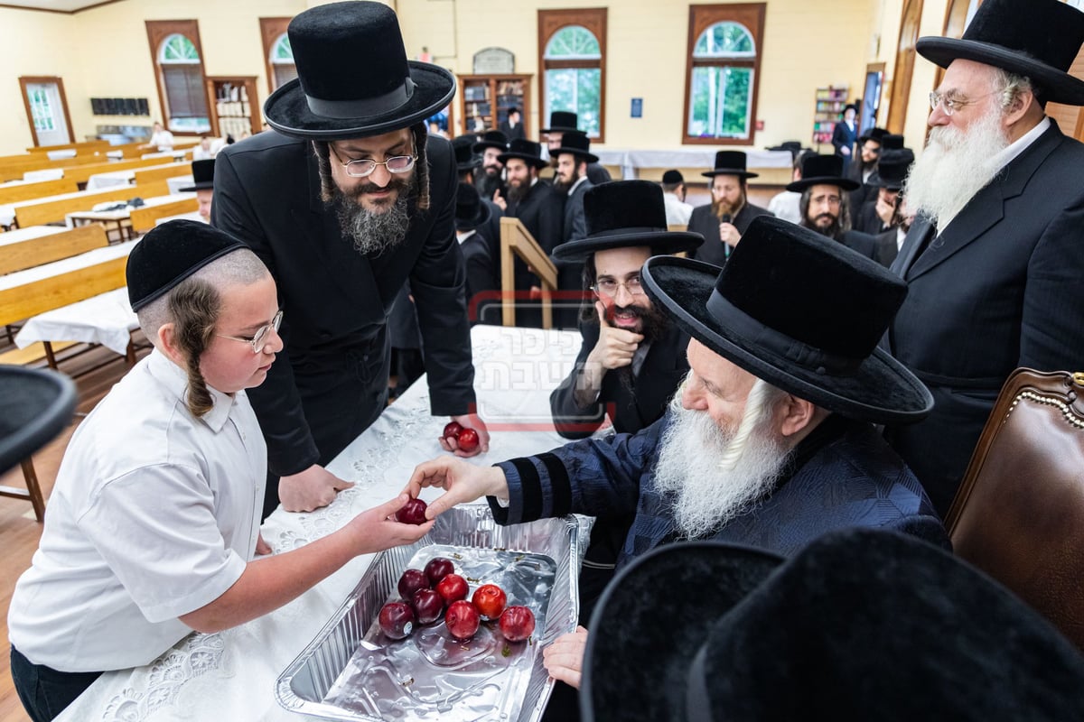 האדמו"ר מבאבוב בביקור במחנה שלווה ד'באבוב 