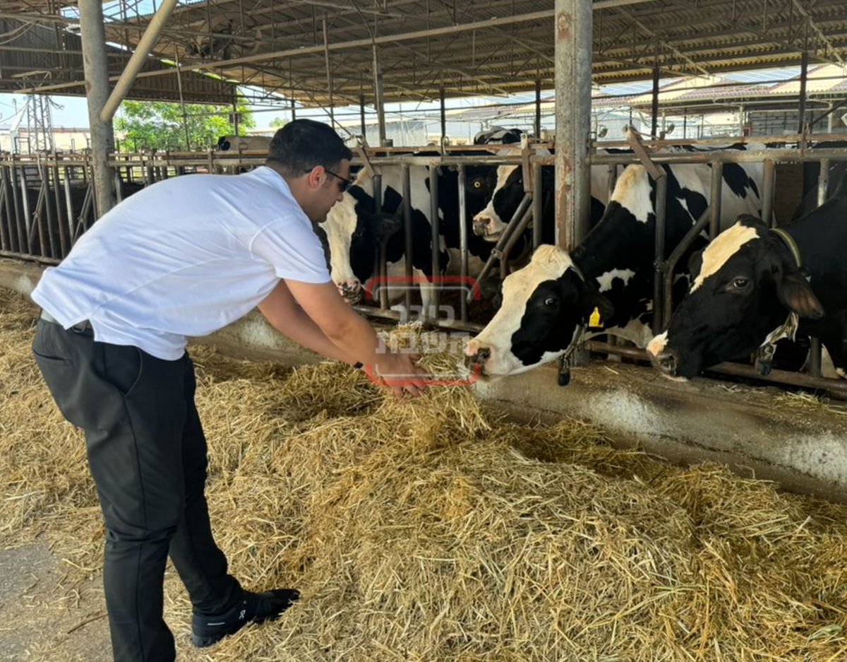 זופניק בכיכר • כל התמונות, הנייעס והחשיפות של השבוע