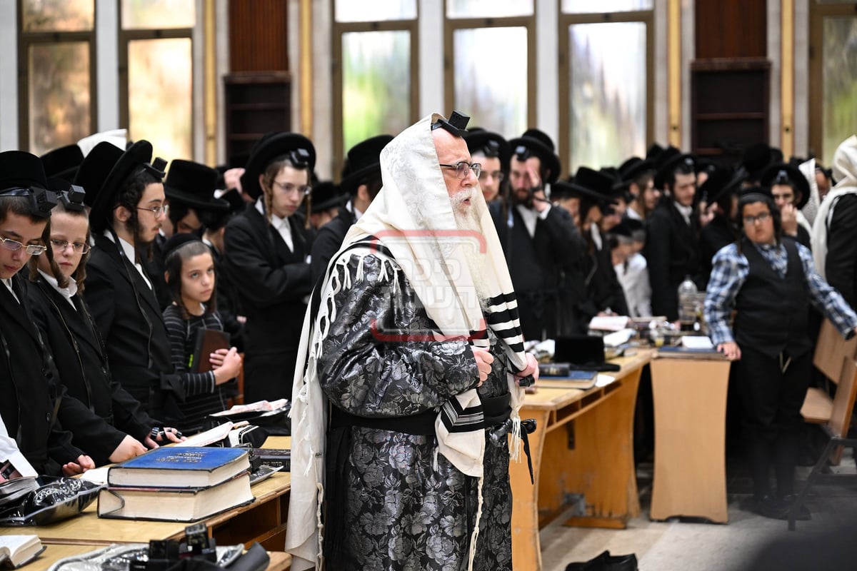 האדמו"ר מצאנז בהנחת תפילין לנכדיו התאומים 