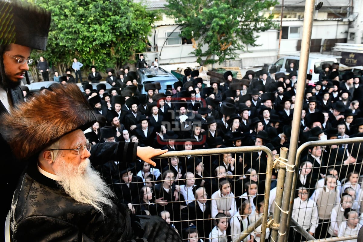 שמחת בית שאץ ויז'ניץ - אלכסנדר 