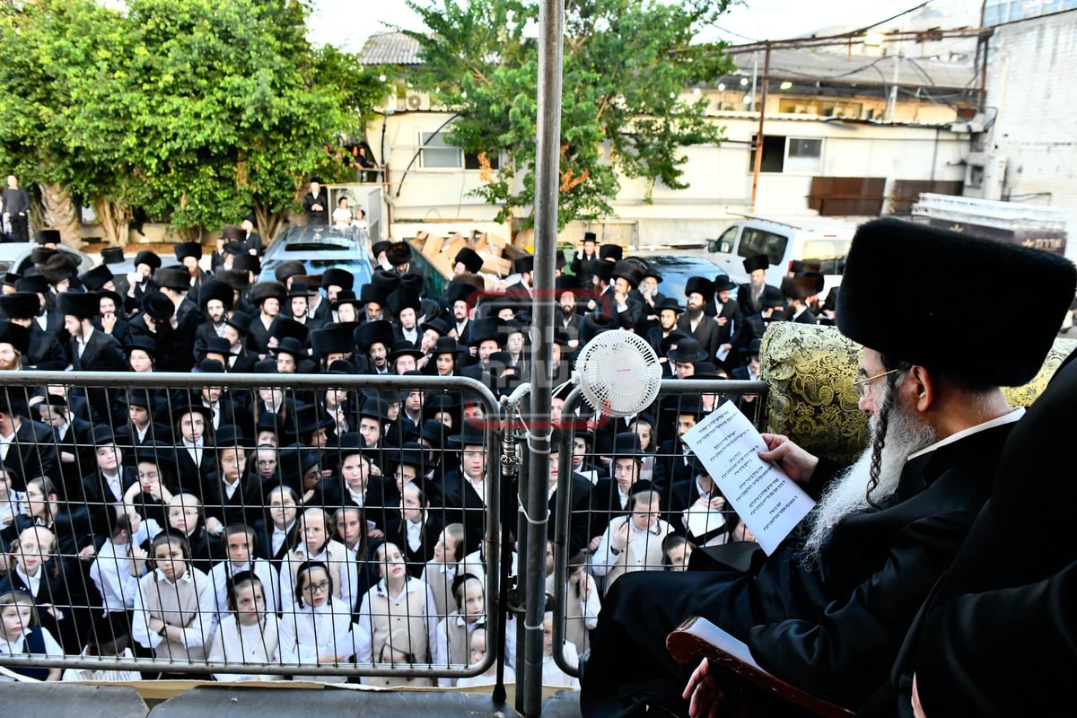 שמחת בית שאץ ויז'ניץ - אלכסנדר 