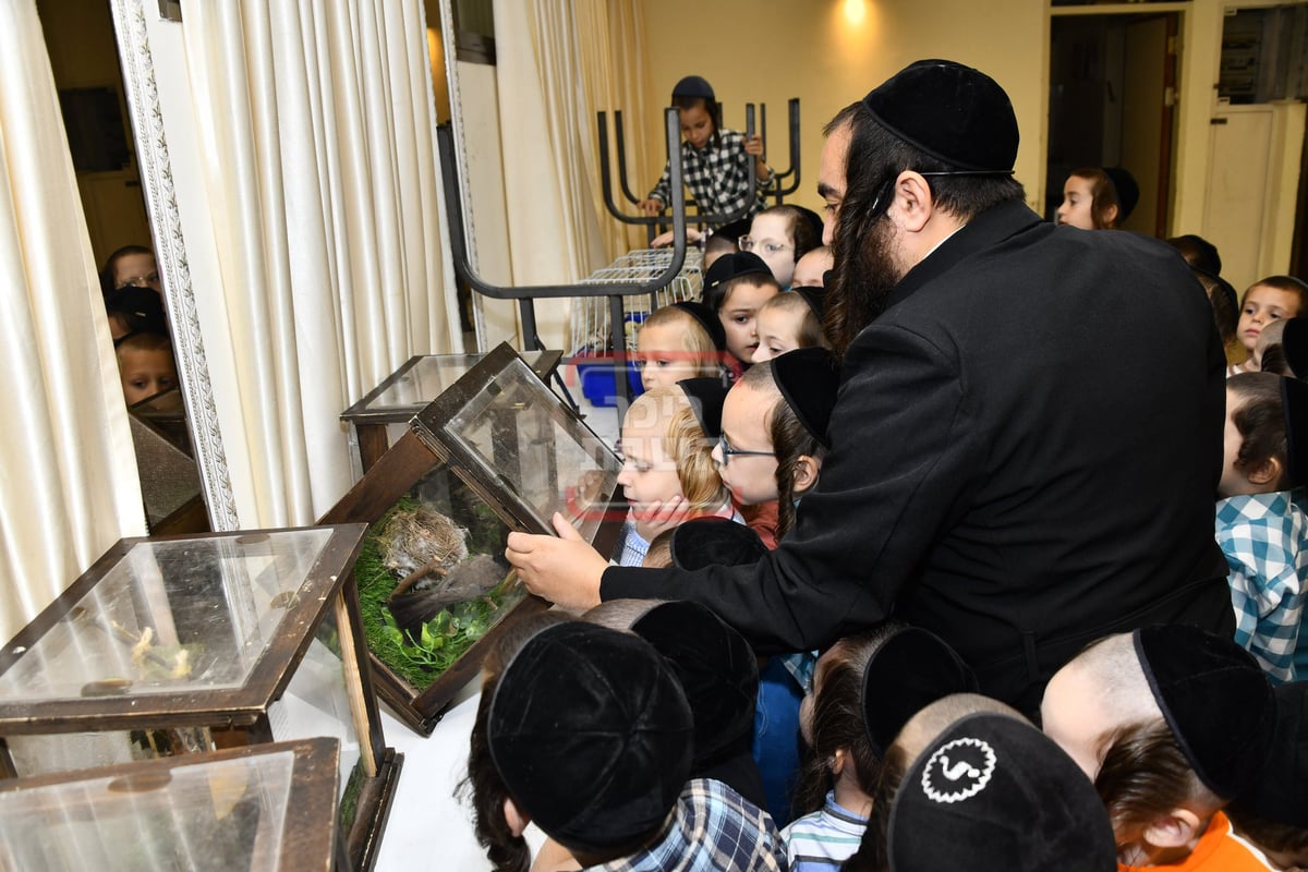 מיצג מצוות 'שילוח הקן' בתלמוד תורה באבוב 