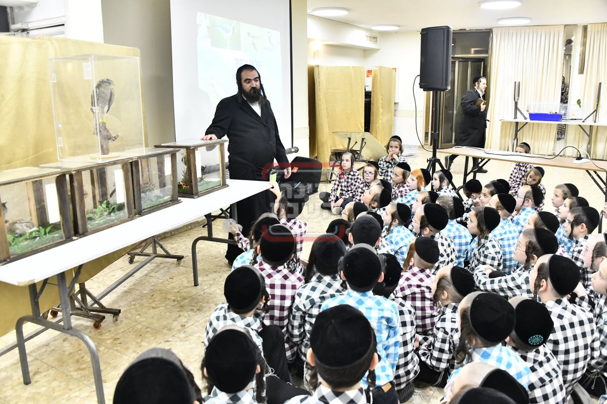 מיצג מצוות 'שילוח הקן' בתלמוד תורה באבוב 