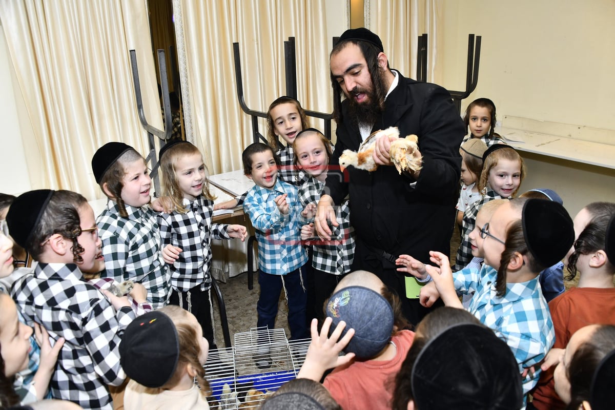 מיצג מצוות 'שילוח הקן' בתלמוד תורה באבוב 