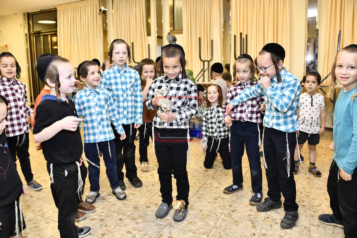 מיצג מצוות 'שילוח הקן' בתלמוד תורה באבוב 