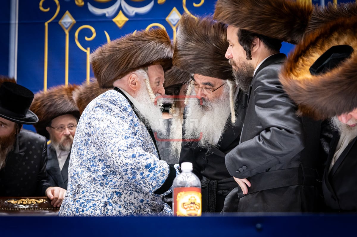 שמחת בית באבוב 