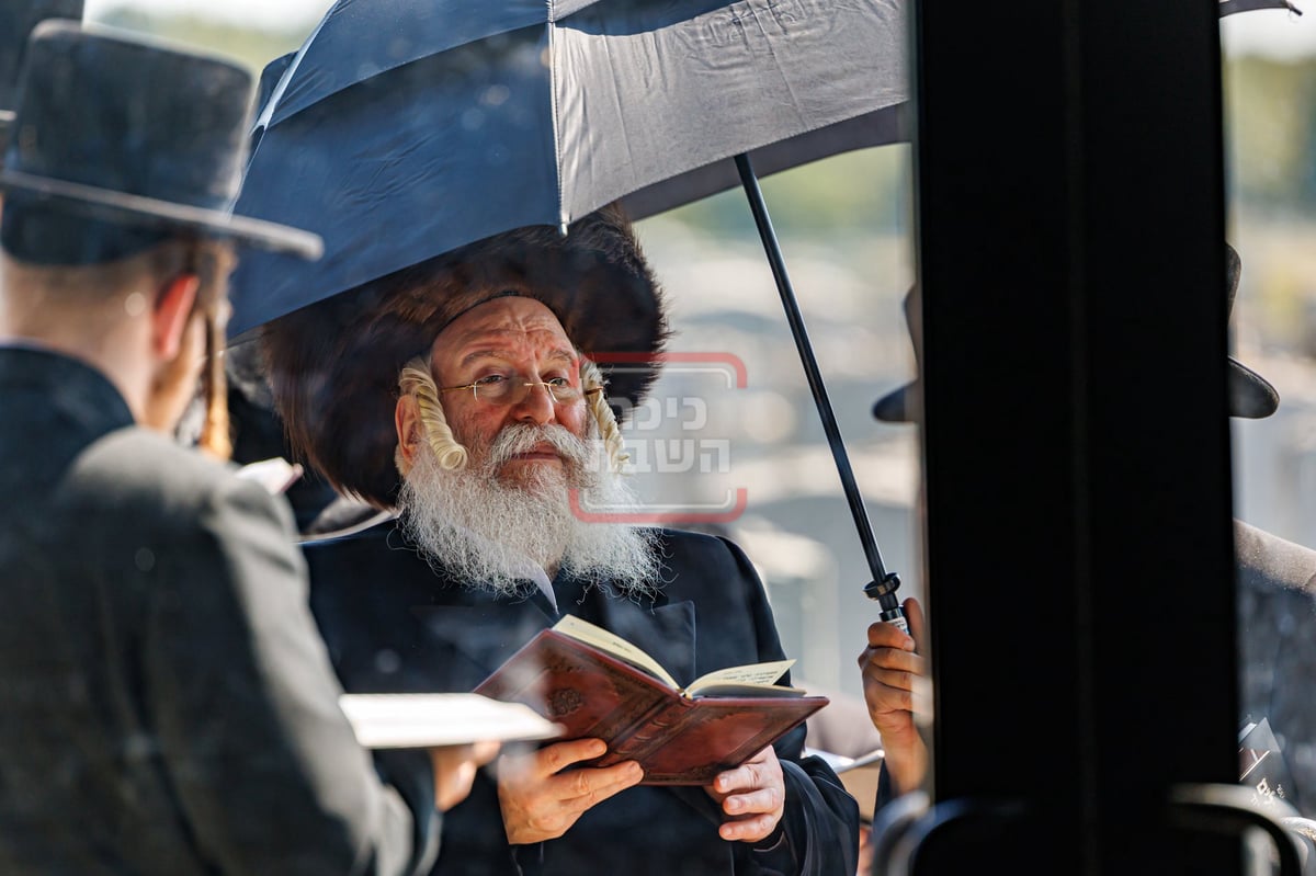 יאר צייט לרבנית הצדקנית מבאבוב 