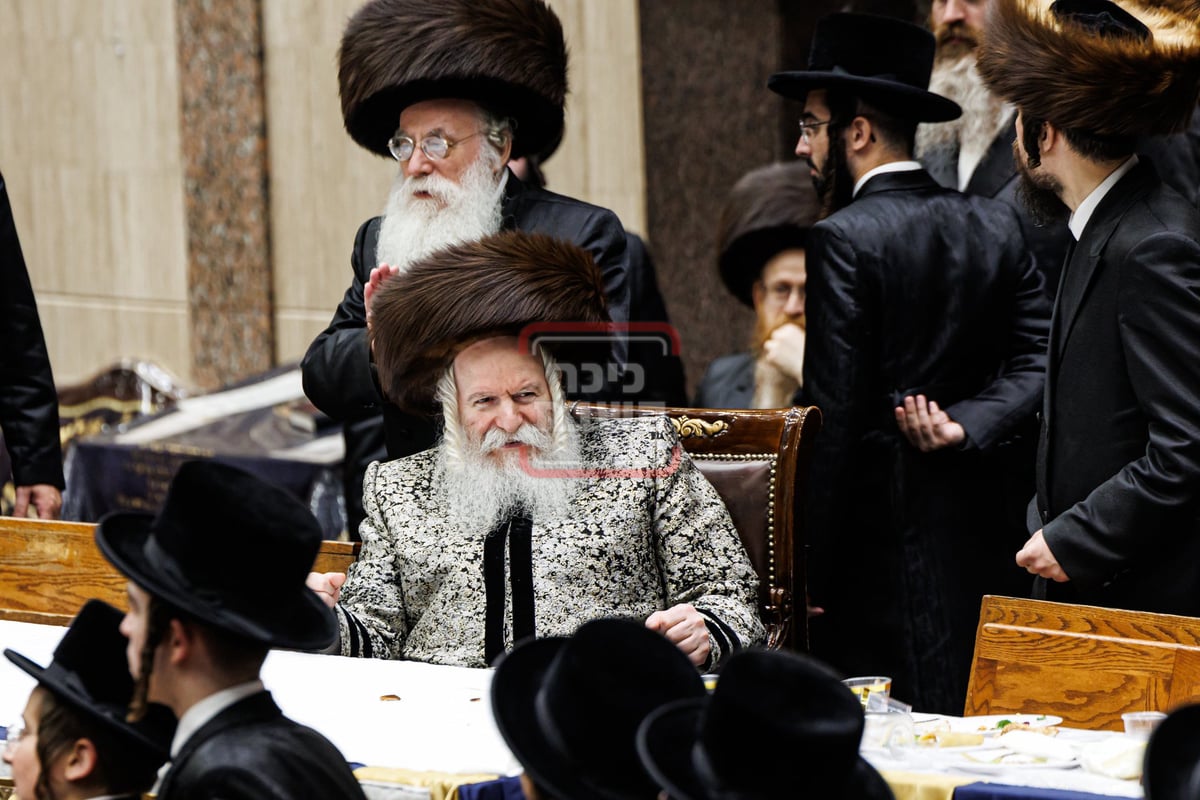 שמחת השבע ברכות לנכד האדמו"ר מבאבוב 