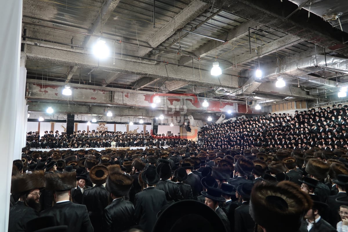 שמחת נישואי נכד האדמו"ר מסאטמר 