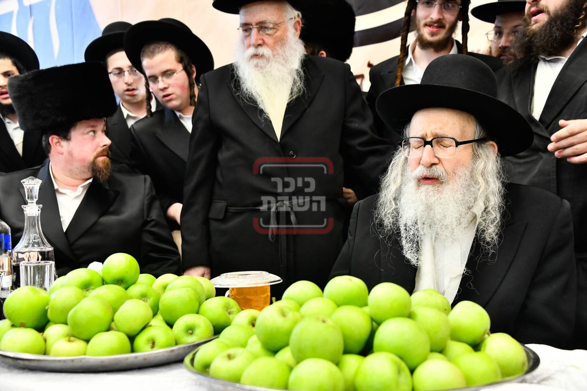 הכנסת ספר תורה וחנוכת הבית בחצה"ק אמשינוב בצפת