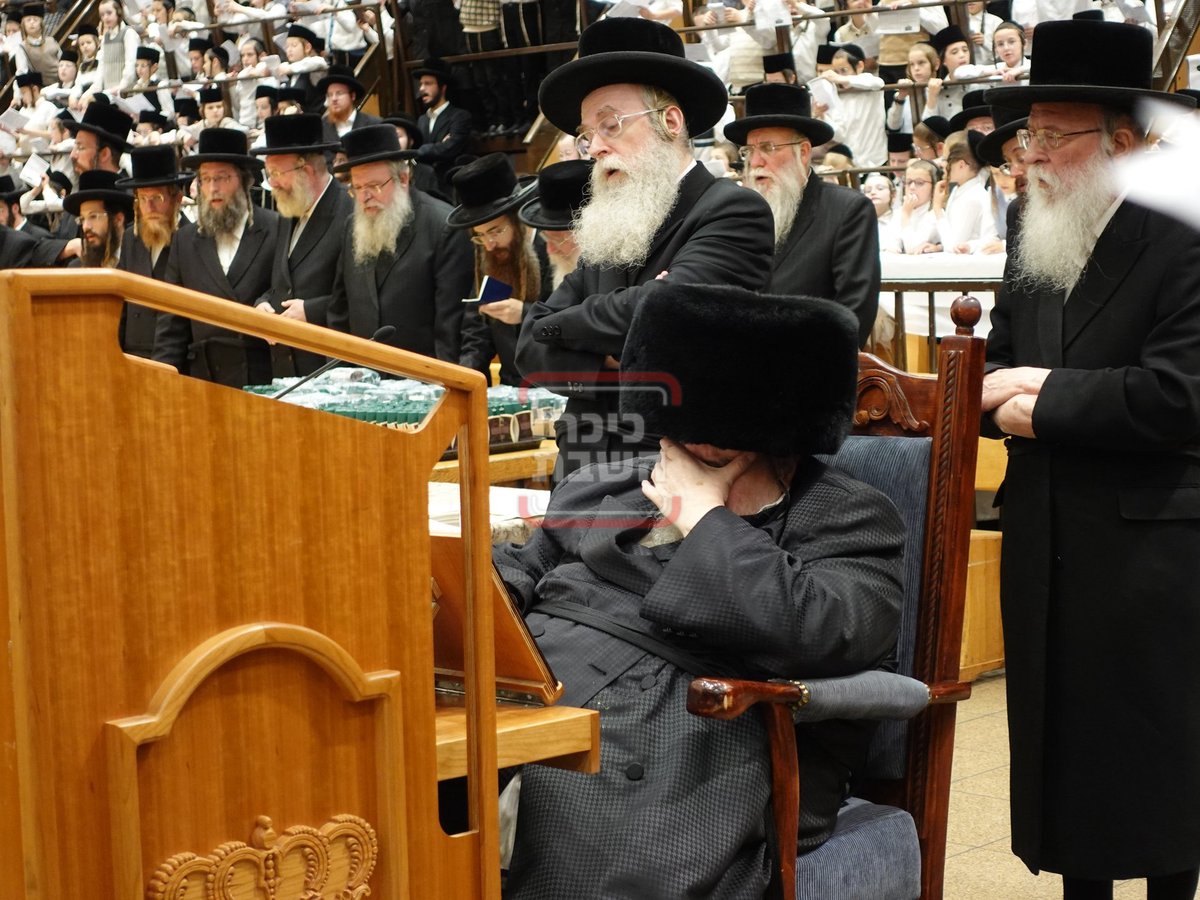 מעמד ה'כוללות קוויטל' לילדי בעלזא 