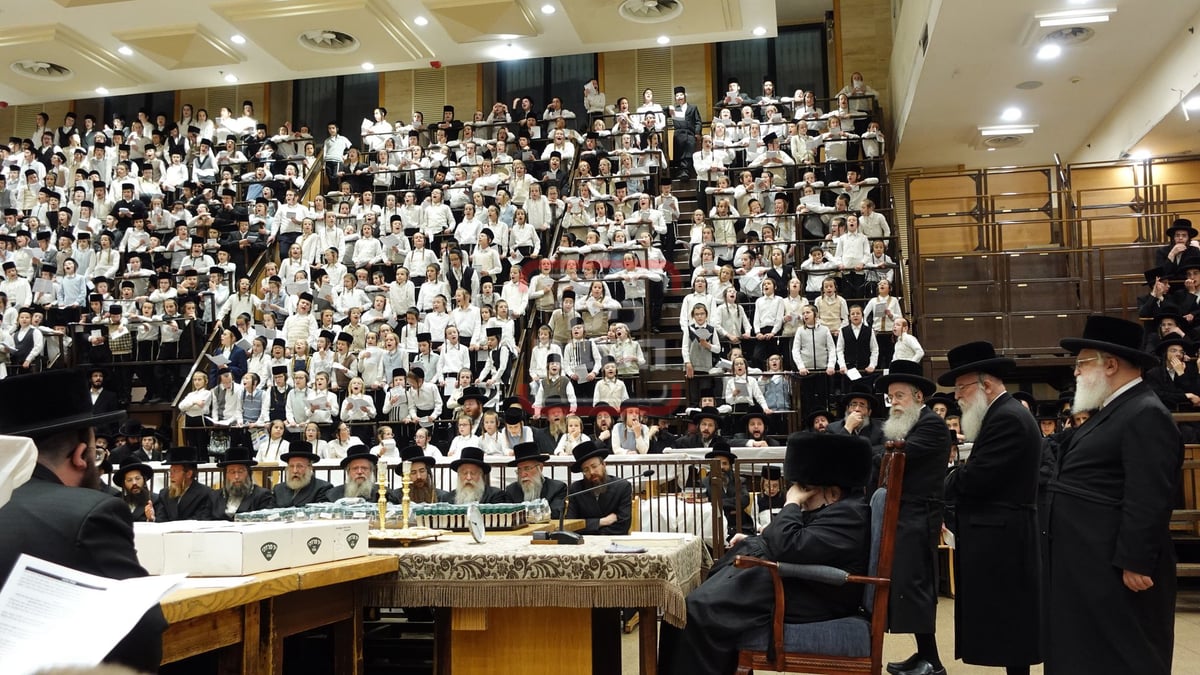 מעמד ה'כוללות קוויטל' לילדי בעלזא 