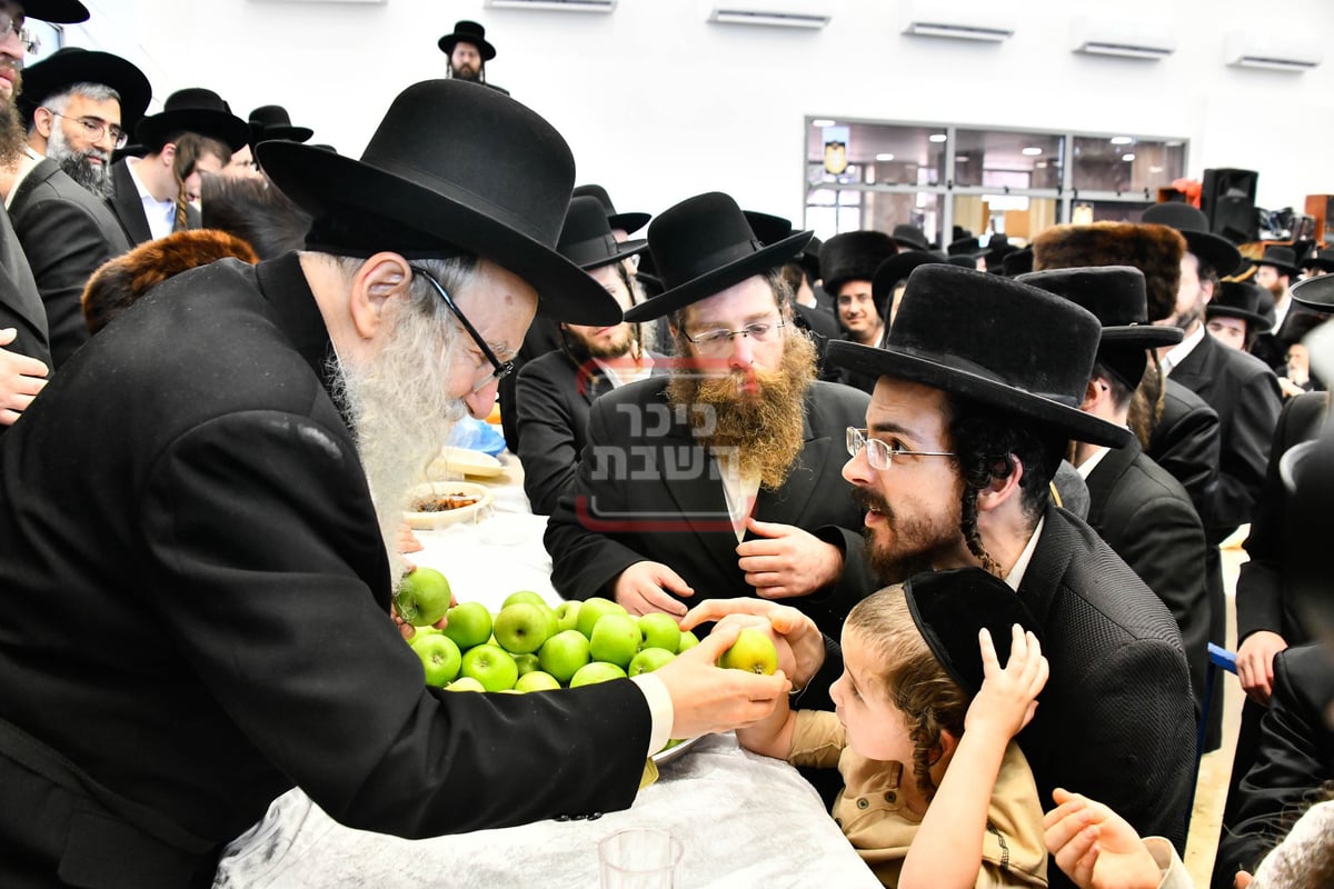 הכנסת ספר תורה וחנוכת הבית בחצה"ק אמשינוב בצפת