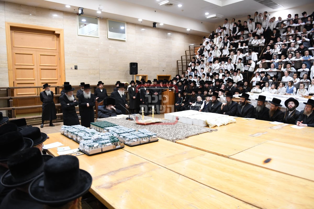 מעמד ה'כוללות קוויטל' לילדי בעלזא 