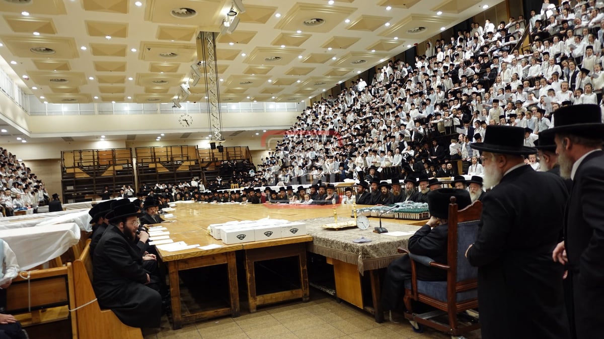 מעמד ה'כוללות קוויטל' לילדי בעלזא 