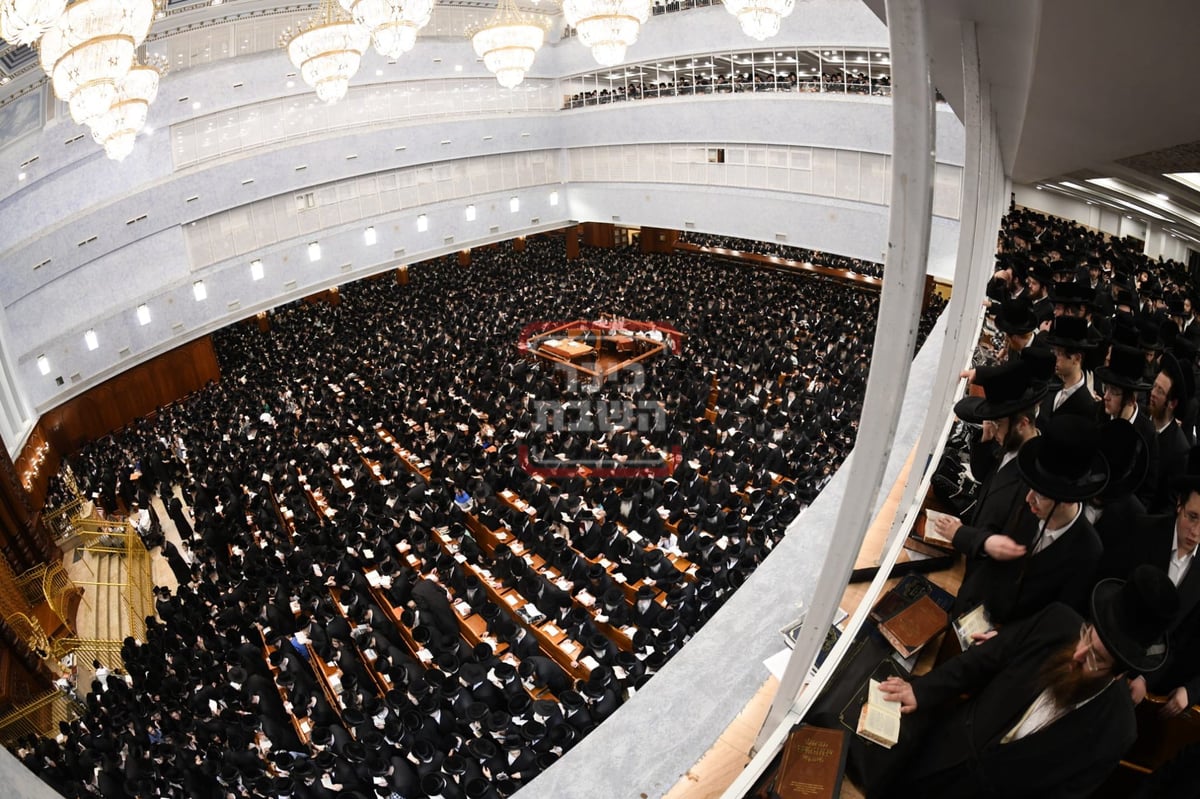 סליחות ראשונות בחצה"ק בעלזא