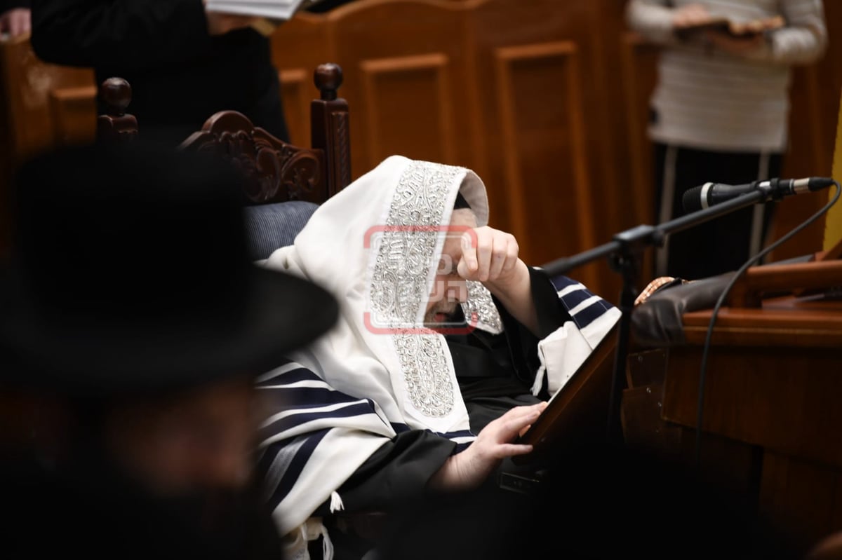 סליחות ראשונות בחצה"ק בעלזא