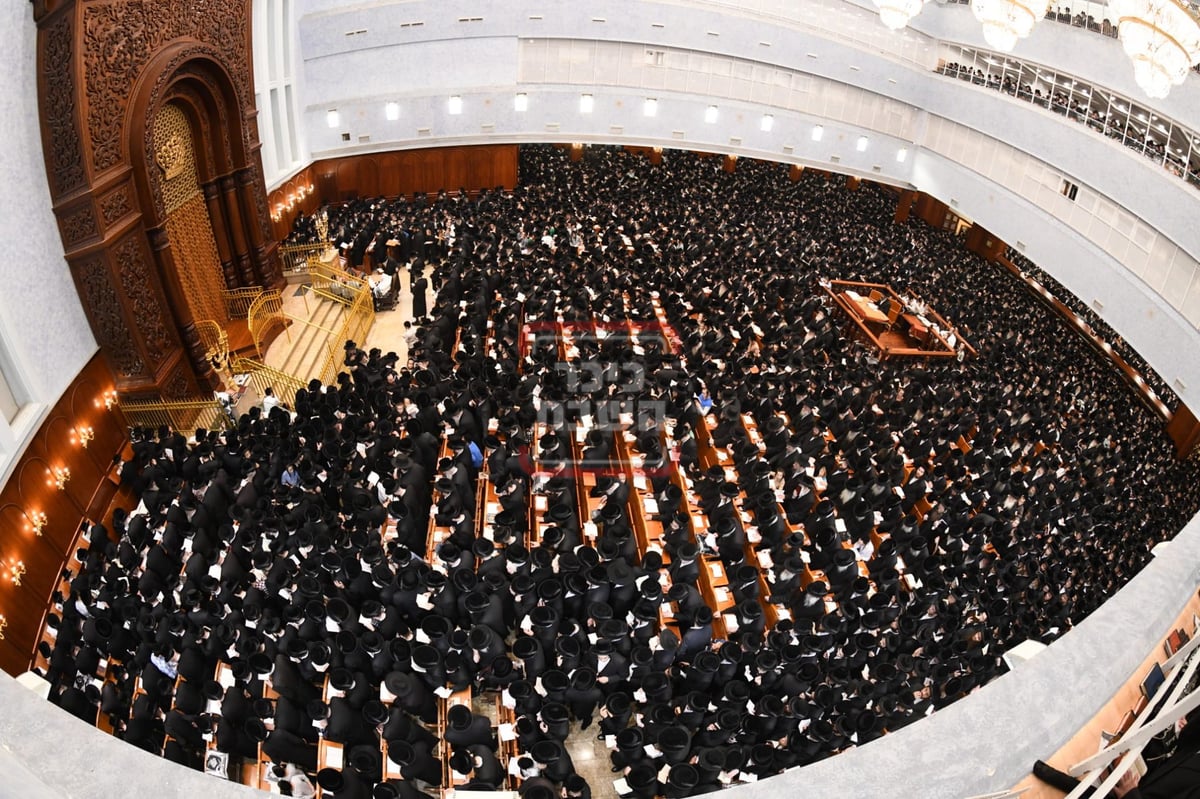 סליחות ראשונות בחצה"ק בעלזא