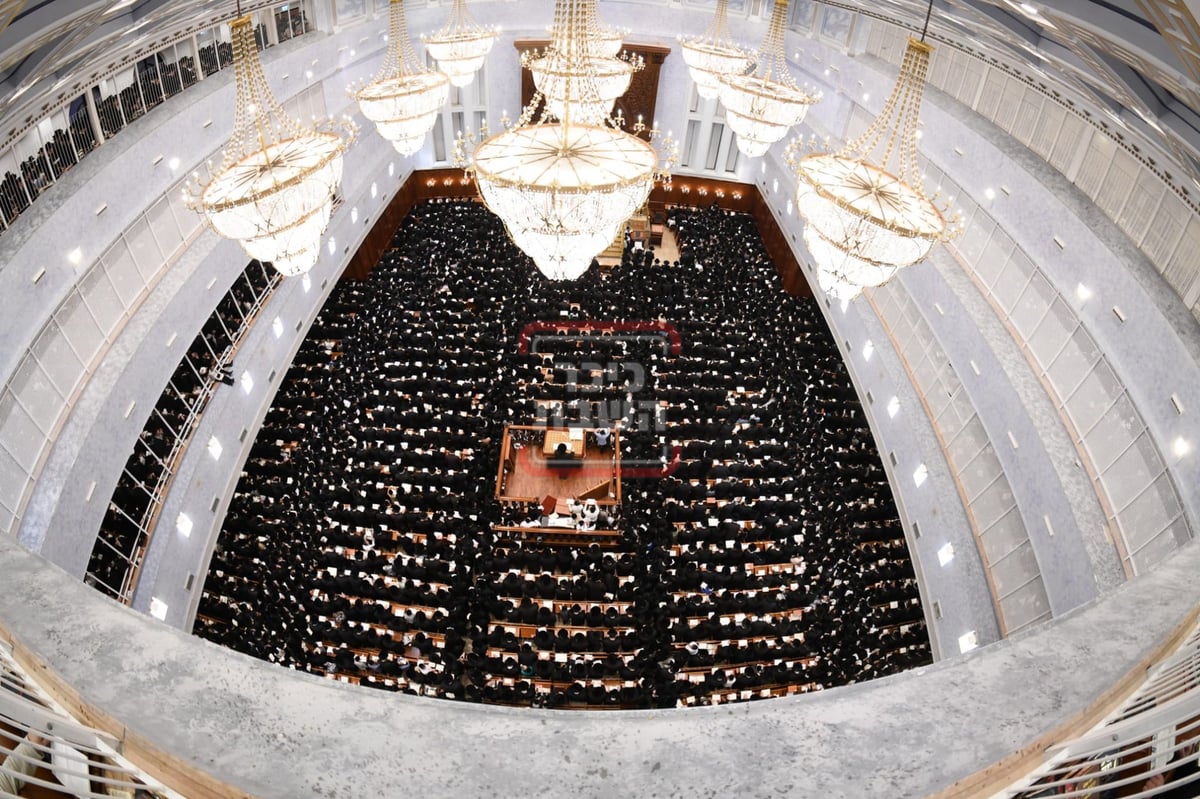 סליחות ראשונות בחצה"ק בעלזא