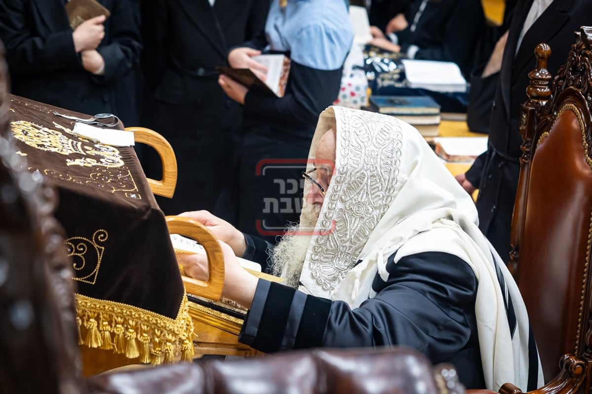 סליחות ראשונות בחצה"ק צאנז קלויזנבורג 