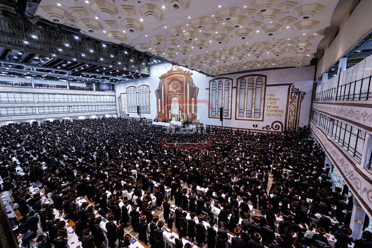 סליחות ראשונות בחצה"ק סקווירא 