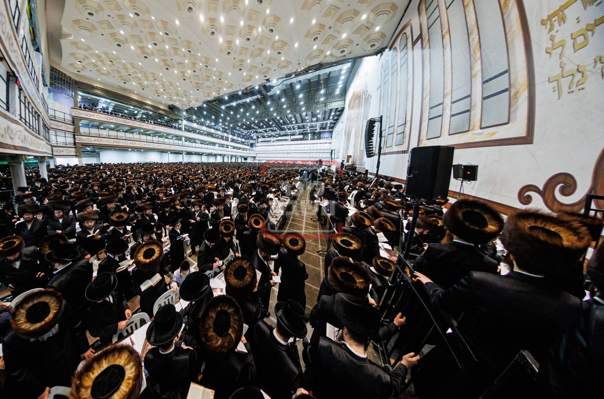 סליחות ראשונות בחצה"ק סקווירא 