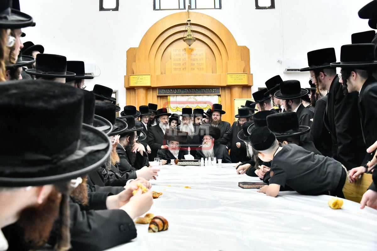 שמחת הברית בחצרות ויז'ניץ - סקולען ירושלים 