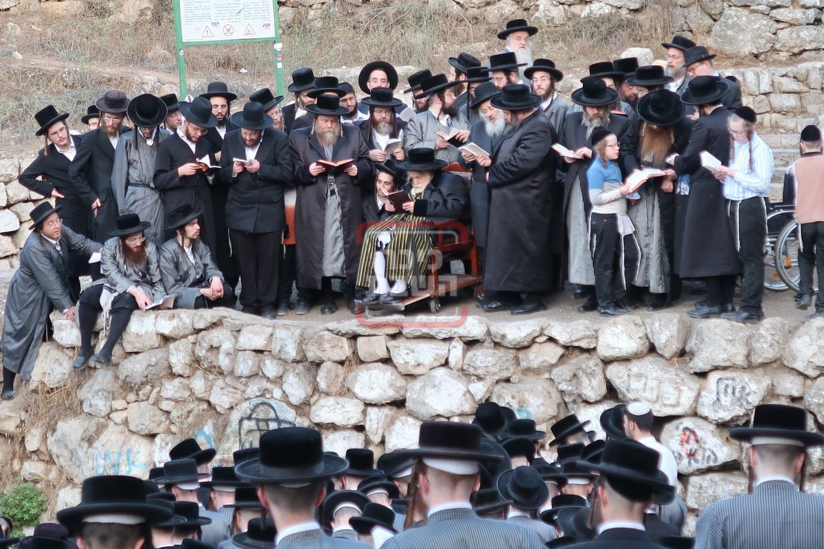 האדמו"ר מתולדות אברהם יצחק בתשליך 