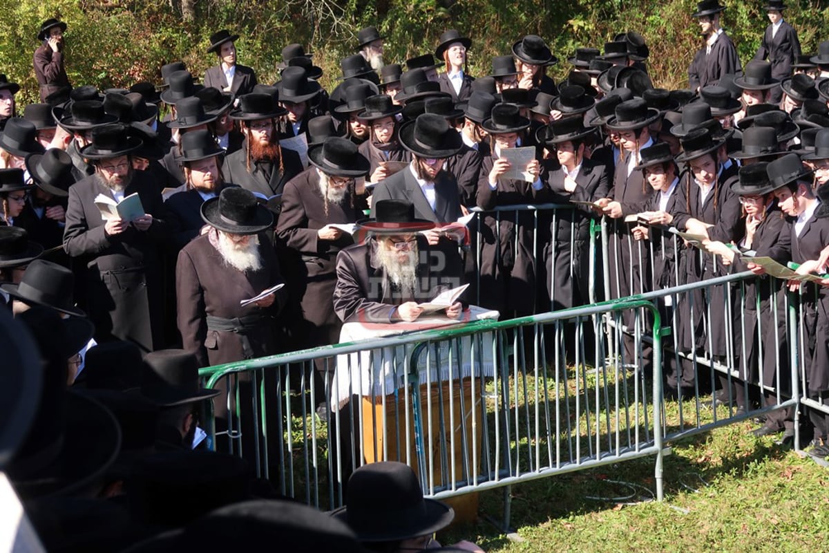 האדמו"ר מסאטמר בתשליך 