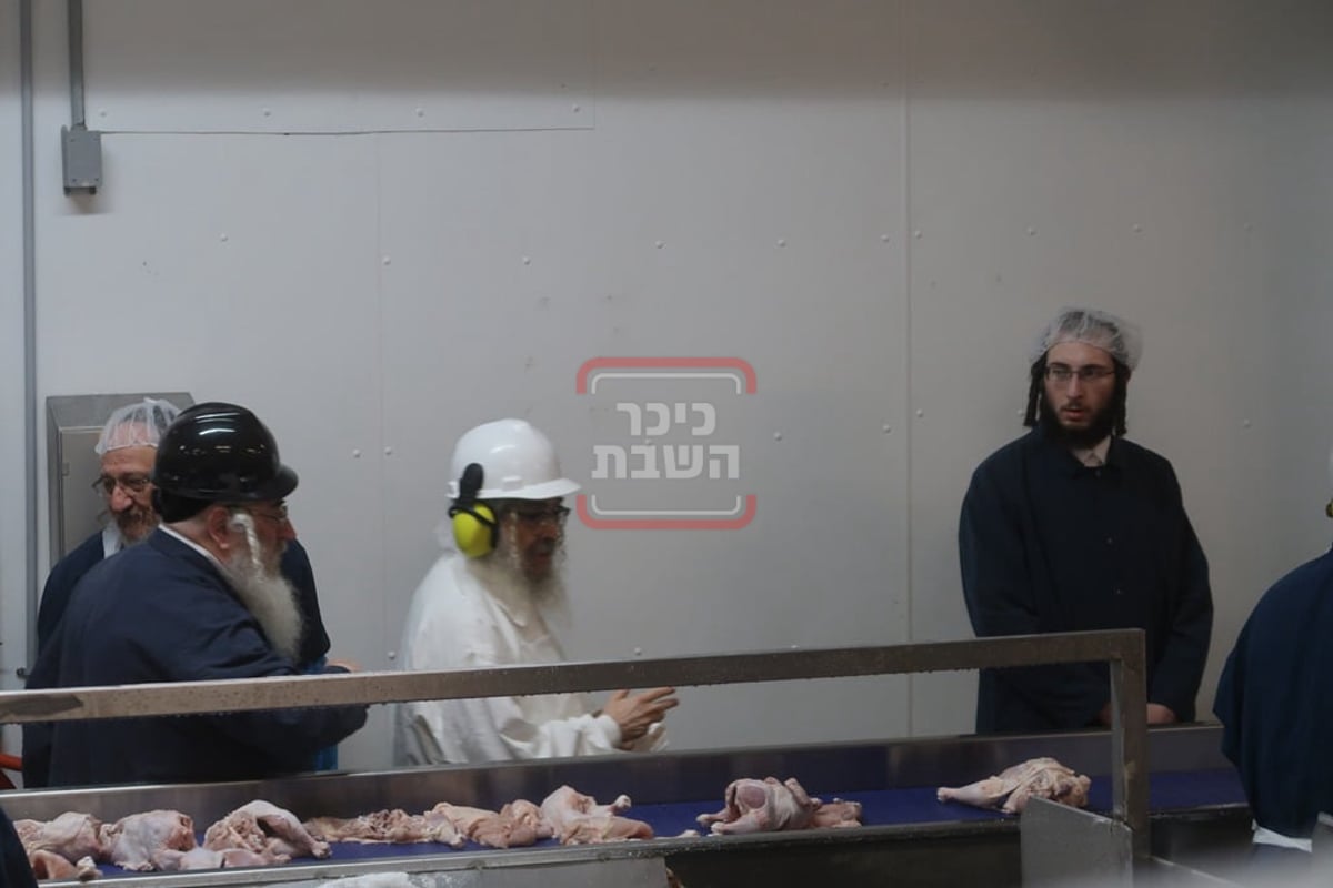 האדמו"ר מסאטמר בבית השחיטה בערב יום כיפור 