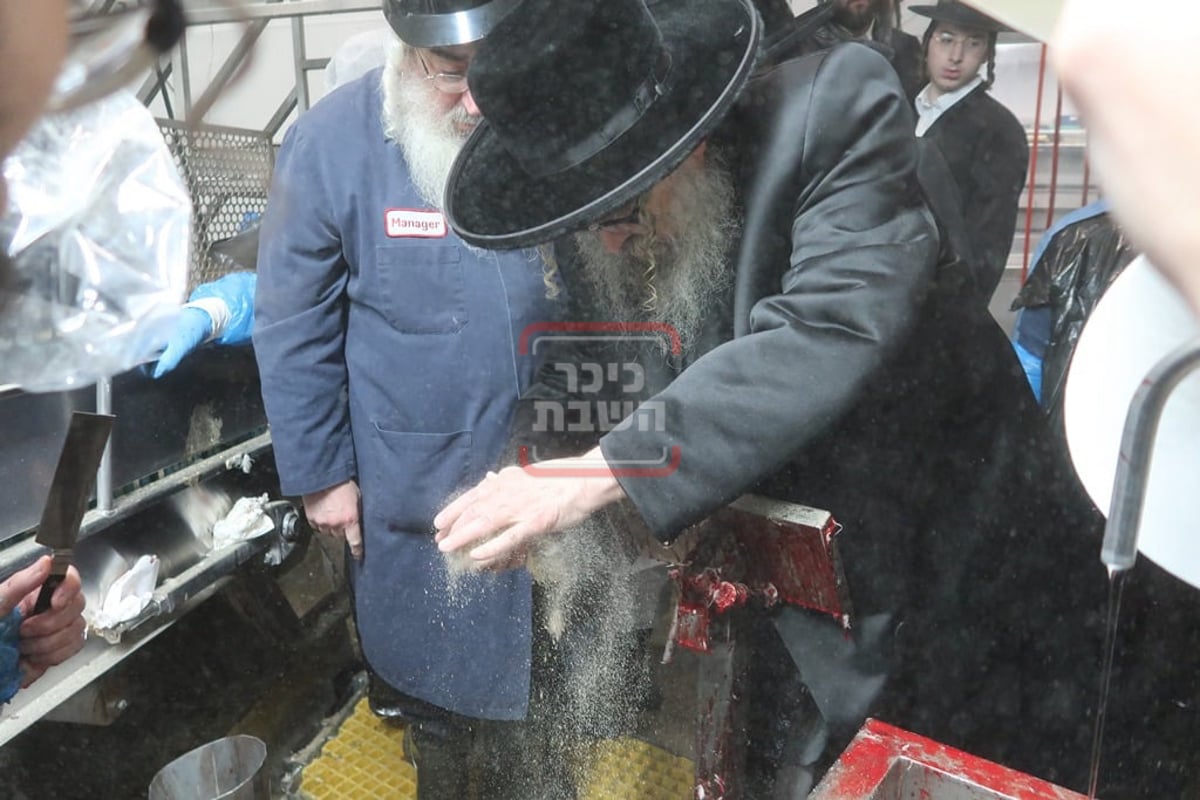 האדמו"ר מסאטמר בבית השחיטה בערב יום כיפור 