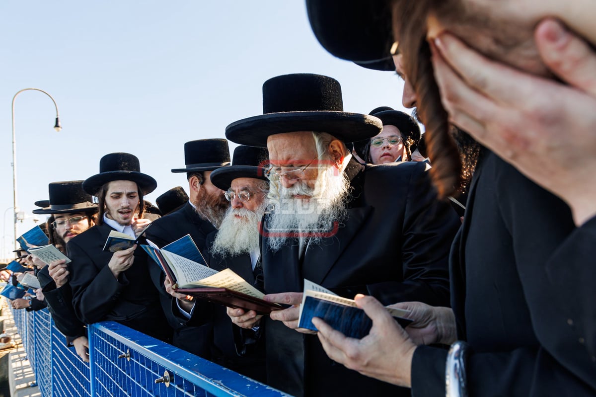 ערב ומוצאי יום כיפור בחצה"ק באבוב 