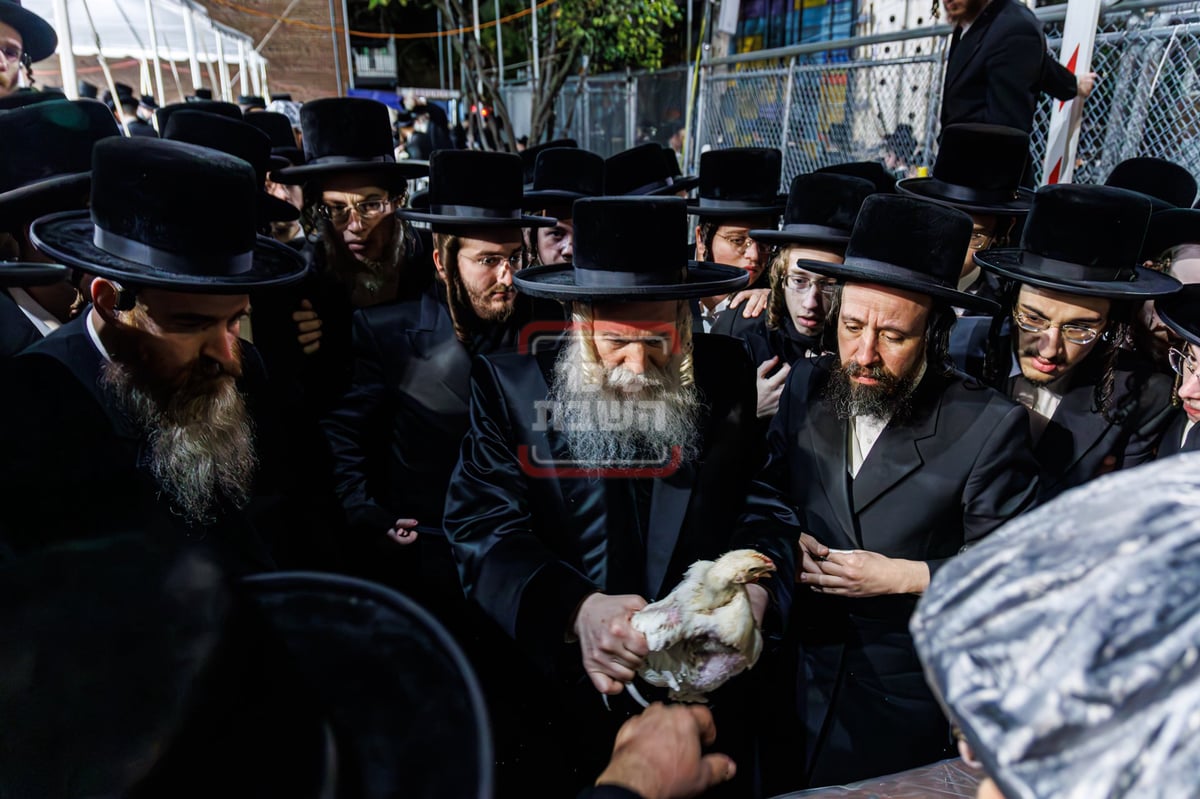 ערב ומוצאי יום כיפור בחצה"ק באבוב 