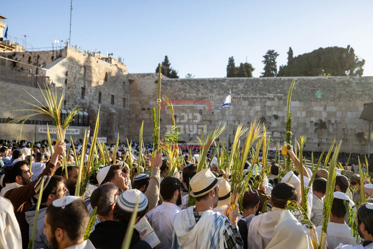 הושענא רבה בכותל המערבי