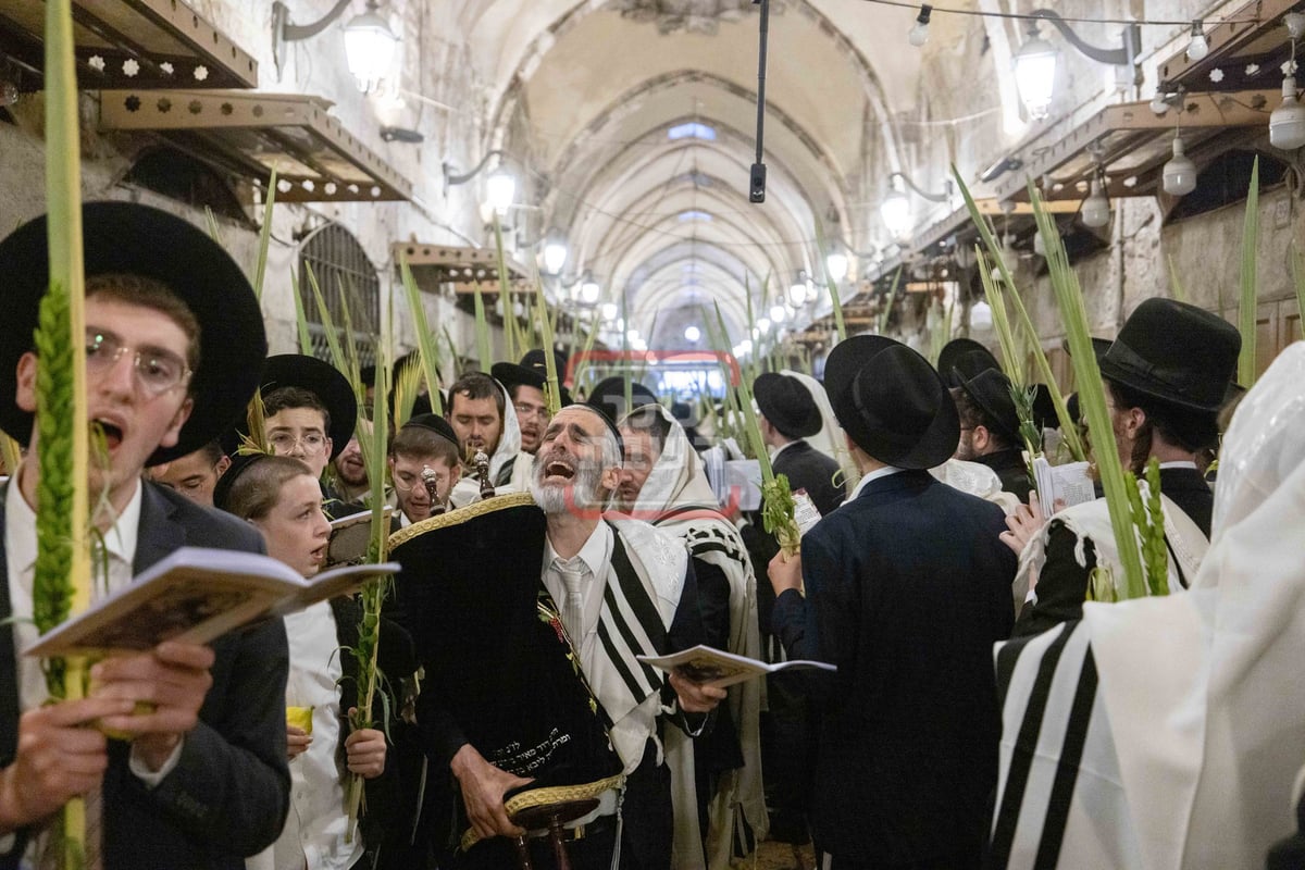 הושענא רבה בשער הכותנה בכניסה להר הבית