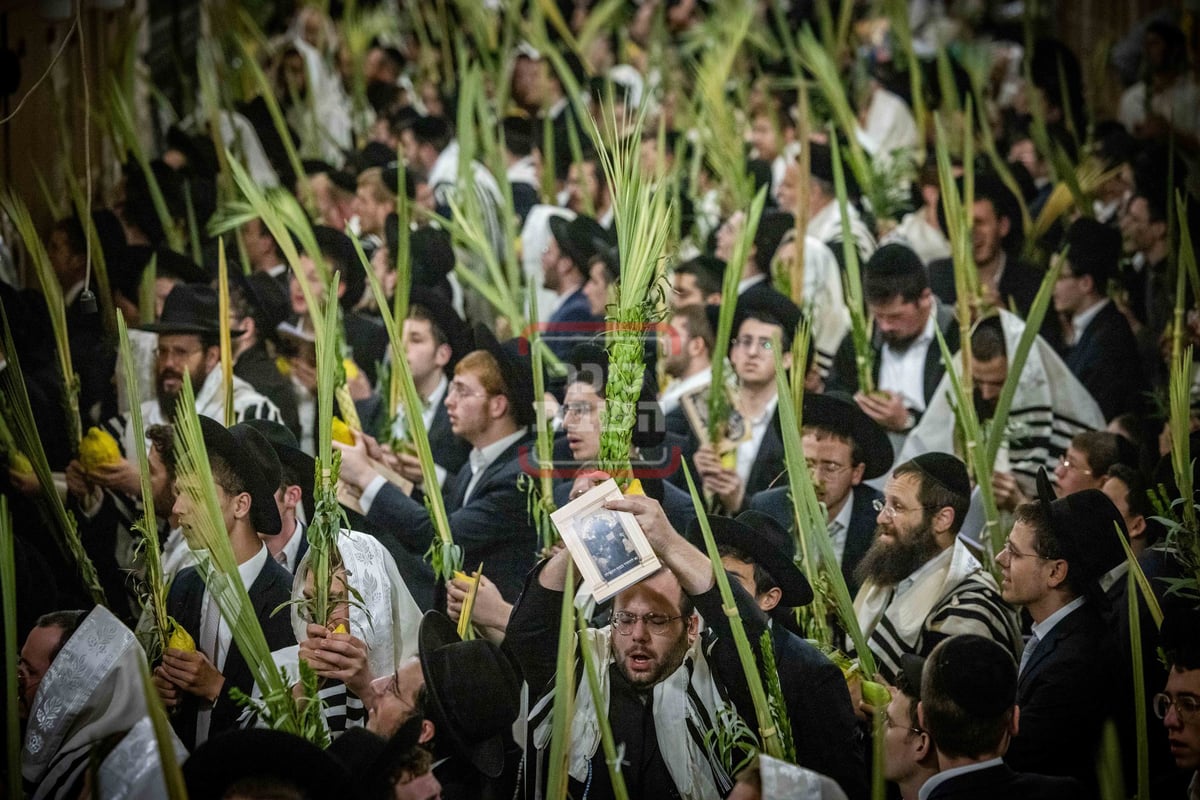 הושענא רבה בשער הכותנה בכניסה להר הבית