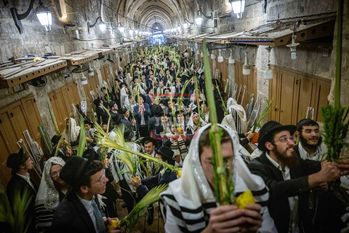 הושענא רבה בשער הכותנה בכניסה להר הבית