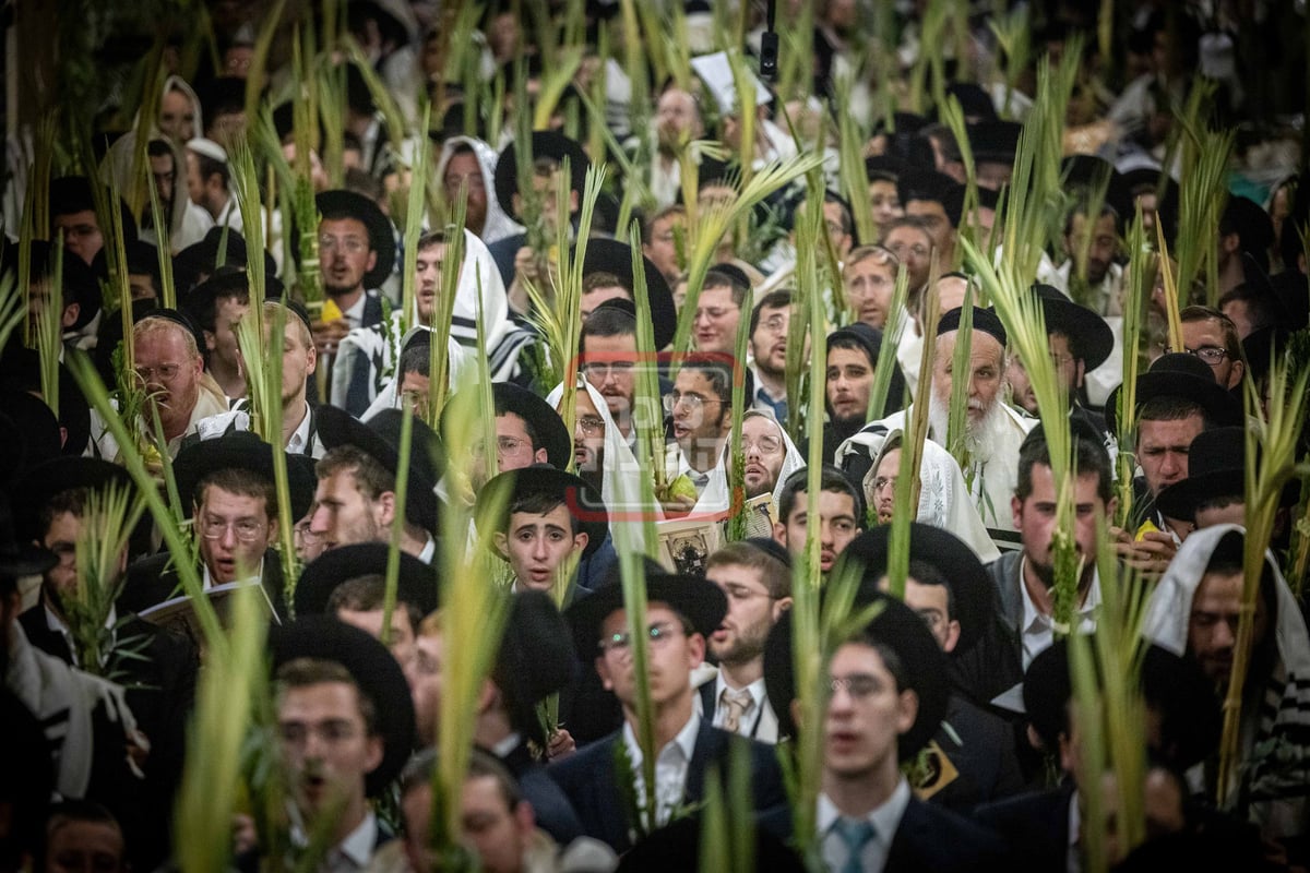 הושענא רבה בשער הכותנה בכניסה להר הבית