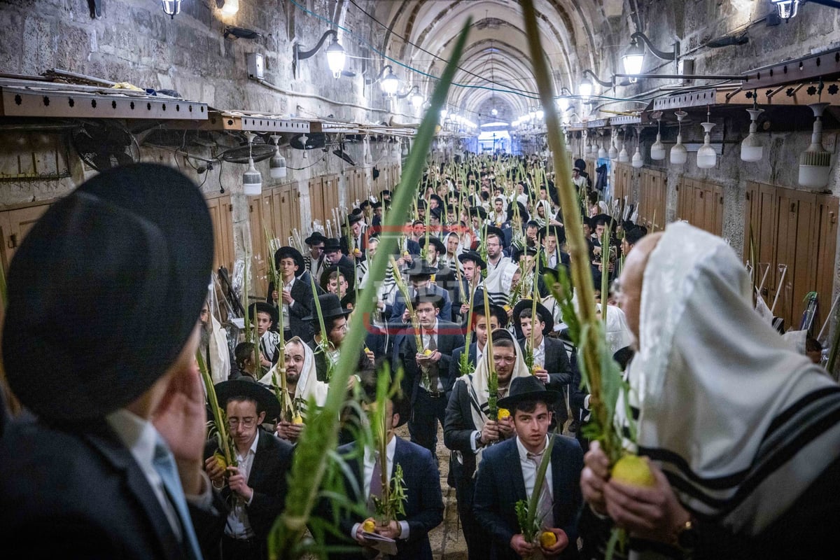 הושענא רבה בשער הכותנה בכניסה להר הבית