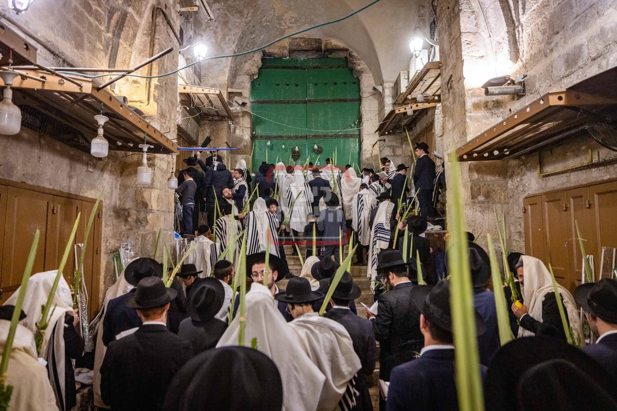 הושענא רבה בשער הכותנה בכניסה להר הבית