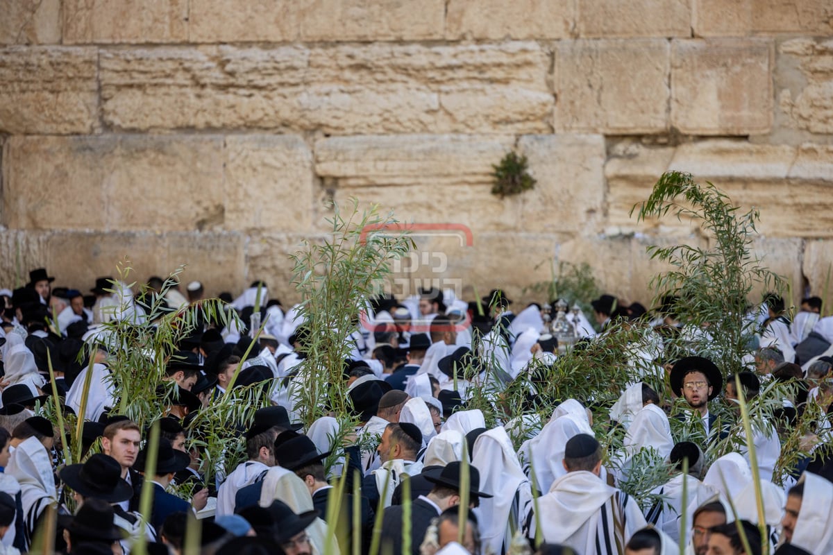 הושענא רבה בכותל המערבי