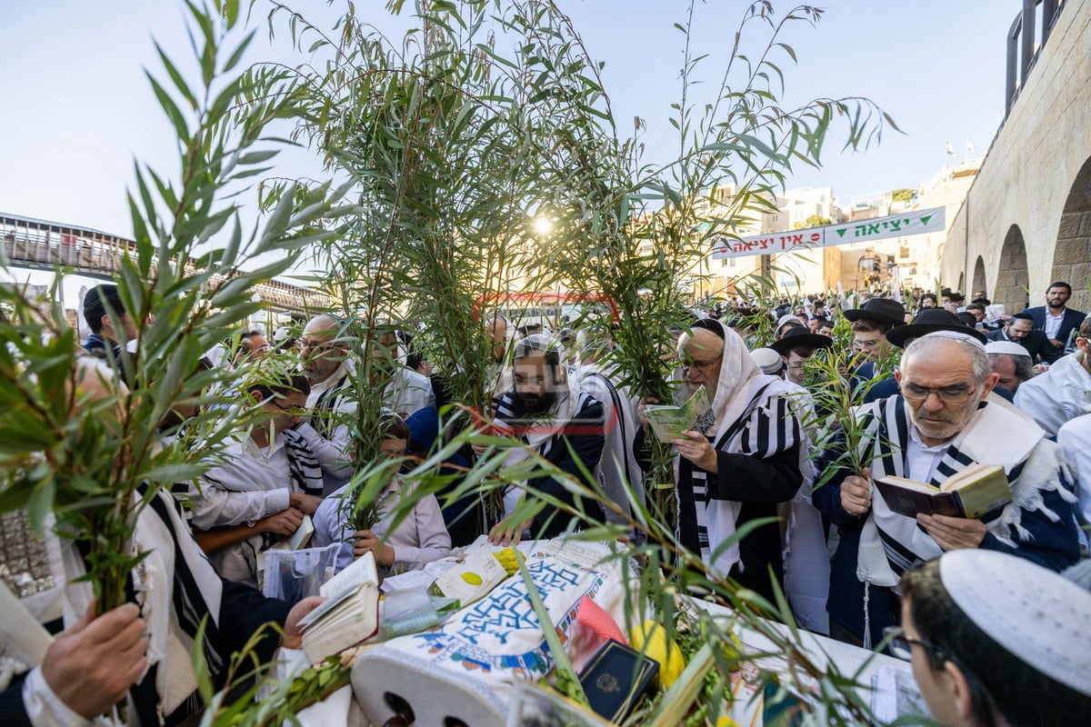 הושענא רבה בכותל המערבי