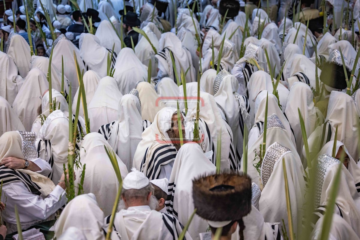 הושענא רבה ב'תולדות אהרן'