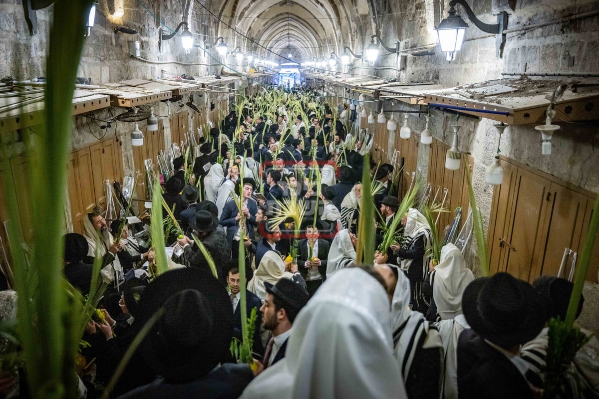 הושענא רבה בשער הכותנה בכניסה להר הבית