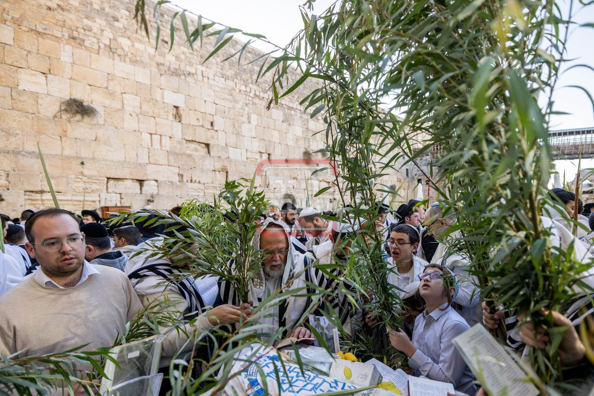 הושענא רבה בכותל המערבי