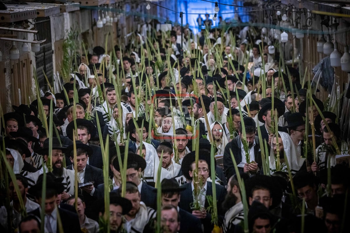 הושענא רבה בשער הכותנה בכניסה להר הבית